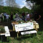Troc de plantes et de graines du 14 mai 2022 - On s'affaire dans la bonne humeur