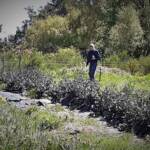 Visite maraîcher Rocles du 11 mai 2022 - Claude en recherche d'un cliché
