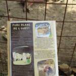 Visite de la ferme Bio du Gévaudan pour la fête de la Biodiversité du 22 mai 2022 Visite de la ferme Bio du Gévaudan pour la fête de la Biodiversité du 22 mai 2022 - 6. La ferme BIO du Gévaudan à St-Flour de Mercoire