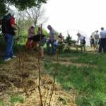Troc de plantes et de graines du 14 mai 2022 - Bientôt l'heure de tout remballer