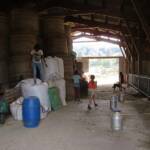 Visite de la ferme Bio du Gévaudan pour la fête de la Biodiversité du 22 mai 2022 Visite de la ferme Bio du Gévaudan pour la fête de la Biodiversité du 22 mai 2022 - 8. Les enfants s'amusent bien de leur côté !