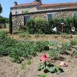 "Bienvenue dans nos jardins" - Catherine & Rémy du samedi 18 juin 2022 - Le potager