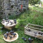 Fêtes des plantes au château de Chavaniac La Fayette les 4 & 5 juin 2022 - Les pintades