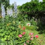 "Bienvenue dans nos jardins" - Loly & Marcel du dimanche 19 juin 2022 - Pied d'alouettes & rosiers