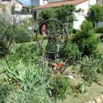 Atelier "Café Compost Occitanie" en date du 11 juin 2022 - Autre parterre