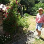 "Bienvenue dans nos jardins" - Catherine & Rémy du samedi 18 juin 2022 - Un des nombreux rosiers magnifiques