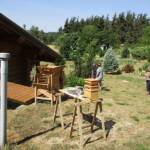 "Bienvenue dans nos jardins" - Patrick & Sylvie du dimanche 19 juin 2022 - de quoi faire la farine !