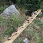 Visite du moulin des Deux Rieu du dimanche 26 juin 2022 - Structure sur le sentier des créateurs