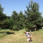 "Bienvenue dans nos jardins" - Catherine & Rémy du samedi 18 juin 2022 - Entrée - tout est calme