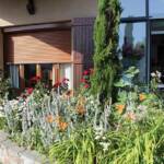 "Bienvenue dans nos jardins" - Loly & Marcel du dimanche 19 juin 2022 - Le parterre