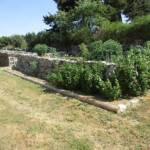 "Bienvenue dans nos jardins" - Patrick & Sylvie du dimanche 19 juin 2022 - FIn de visite avec le potager du haut et stères de bois