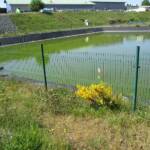 Visite du centre de traitement des déchets à Mende en date du 1er juin 2022 - Fin de process avec truites et eau prête à sortir du site