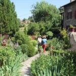 "Bienvenue dans nos jardins" - Jean en matinées des 18 & 19 juin 2022 - Fin de visite