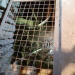 Visite du moulin de Trespis du samedi 25 juin 2022 - Vue en sous-sol