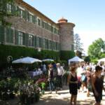 Fêtes des plantes au château de Chavaniac La Fayette les 4 & 5 juin 2022 - sous le château