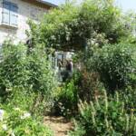 "Bienvenue dans nos jardins" - Gilles & Elodie du dimanche 19 juin 2022 - La tonnelle végétale