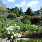 Atelier "Café Compost Occitanie" en date du 11 juin 2022 - Aperçu du jardin