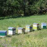 Visite du centre de traitement des déchets à Mende en date du 1er juin 2022 Visite du centre de traitement des déchets à Mende en date du 1er juin 2022 -