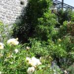 "Bienvenue dans nos jardins" - Gilles & Elodie du dimanche 19 juin 2022 - La visite se poursuit