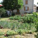 "Bienvenue dans nos jardins" - René & Marie-Andrée du samedi 18 juin 2022 - Le potager vu d'en bas