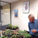 Conférence sur les Chrysanthèmes en date du 3 juin 2022 - L'heure du bilan