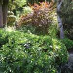 "Bienvenue dans nos jardins" - Jean en matinées des 18 & 19 juin 2022 - c'est tout en bas près du banc !