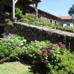 Visite au jardin des Uffernets du dimanche 17 juillet 2022 - La rampe fleurie