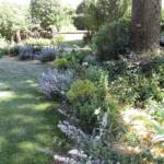 Visite au jardin des Uffernets du dimanche 17 juillet 2022 - autre massif très agréable visuellement