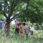 Promenade musicale champêtre au jardin des Lyotard(s) sous Pradelles en date du 03 juillet 2022 - Déplacement et visite de la propriété