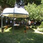 Visite au jardin des Uffernets du dimanche 17 juillet 2022 - La tonnelle attirante