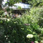 Visite au jardin des Uffernets du dimanche 17 juillet 2022 - rapidement on recherche la fraicheur et la station assise !