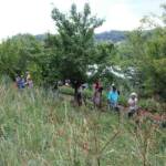 Promenade musicale champêtre au jardin des Lyotard(s) sous Pradelles en date du 03 juillet 2022 - Poursuite et fin de la visite