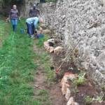 Atelier d'embellissement du chemin de Chapelude en date du 11 octobre 2022 - Au chemin de la Montagne