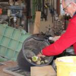 Atelier culture de l'endive en date du samedi 22 octobre 2022 - Re-pratique avec stockage pour l'hiver