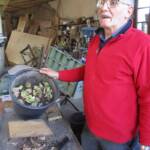 Atelier culture de l'endive en date du samedi 22 octobre 2022 - Fier du résultat final le René ! ... la récolte en février si tout va bien