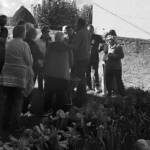 Atelier culture de l'endive en date du samedi 22 octobre 2022 - Présentation du sujet