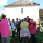 Atelier culture de l'endive en date du samedi 22 octobre 2022 - On est content de se retrouver là !