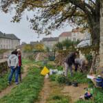 Atelier d'embellissement du chemin de Chapelude en date du 11 octobre 2022 - Le chantier avance bien