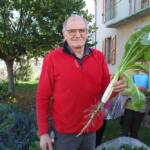 Atelier culture de l'endive en date du samedi 22 octobre 2022 - René avec un plant de chicorée