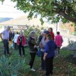 Atelier culture de l'endive en date du samedi 22 octobre 2022 - L'atelier en pratique