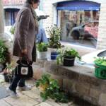 Atelier Troc de plantes d'automne du 08 octobre 2022 à Langogne - On fait son choix