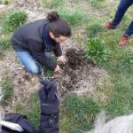 Atelier « Mieux adapter notre jardin aux nouvelles conditions climatiques » du 22 avril 2023 Atelier « Mieux adapter notre jardin aux nouvelles conditions climatiques » du 22 avril 2023 - La terre s'est transformée d'elle même au fil des mois