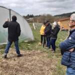 Atelier « Mieux adapter notre jardin aux nouvelles conditions climatiques » du 22 avril 2023 - La serre et sa problématique de double ouverture