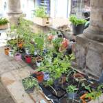 Atelier Troc de printemps à Langogne du 13 mai 2023 Atelier Troc de printemps à Langogne du 13 mai 2023 - L'étalage commence