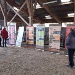 Fête de la biodiversité à la ferme du Gévaudan du samedi 21 mai 2023 - Tour du hangar au cas où avant l'intempérie