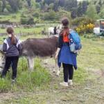 Fête de la biodiversité à la ferme du Gévaudan du samedi 21 mai 2023 - ... pour les plus jeunes