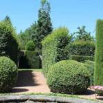 Visite à Ambert du 24 juin - Le Jardin du citoyen Romain chez Denise VIGNY - Autre massif