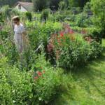 Ouverture de nos jardins des 17 & 18 juin 2023 - Le Jardin de Marie-France - Une voisine connaisseuse ausculte méthodiquement l'aménagement de l'endroit