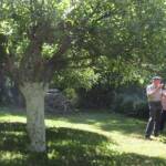 Ouverture de nos jardins des 17 & 18 juin 2023 - jardin de Gilbert & Mado - n mélange d'argile et de cendre de bois pour réparer les troncs du verger