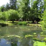 Fêtes de Plantes 2023 à Chavaniac-Lafayette des 3 & 4 juin 2023 - L'étang